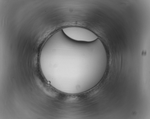 X0000111380206200907100945