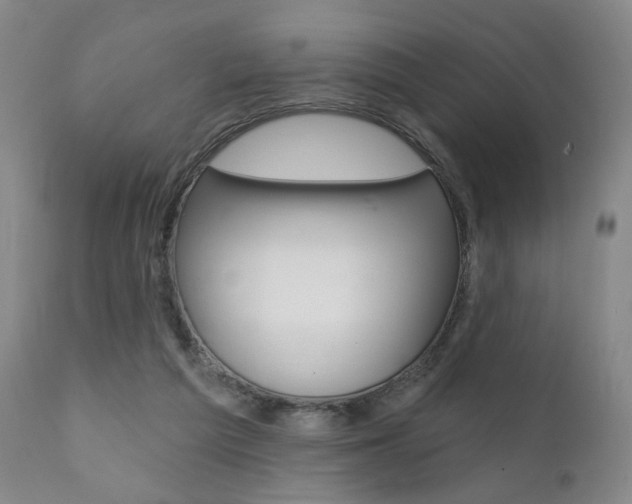 X0000111380209200907100945