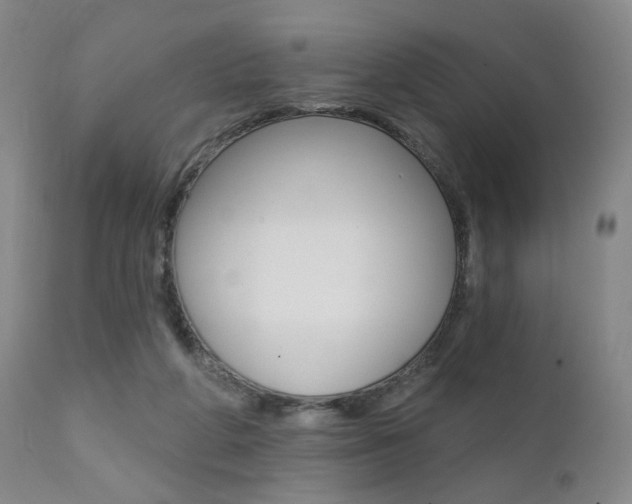 X0000111380210200907100945