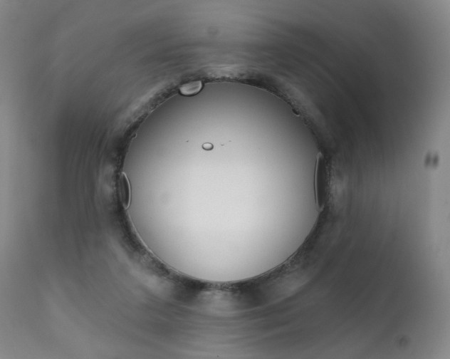 X0000111380211200907100945