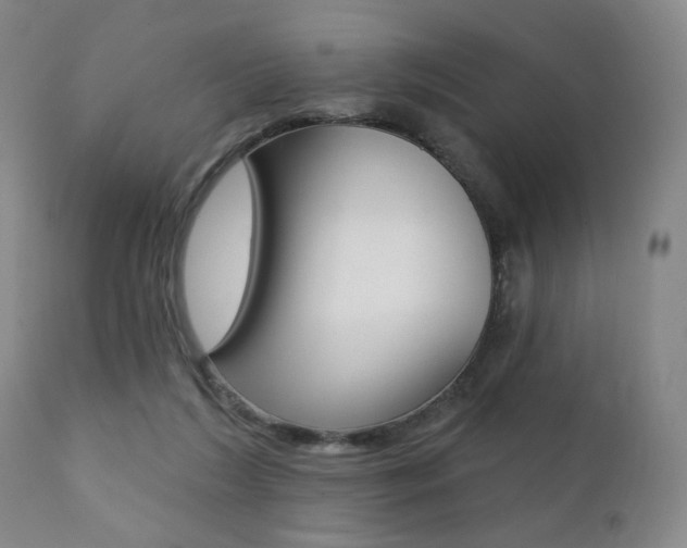 X0000111380212200907100945