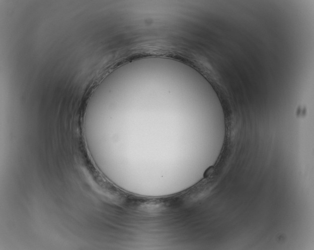 X0000111380213200907100945