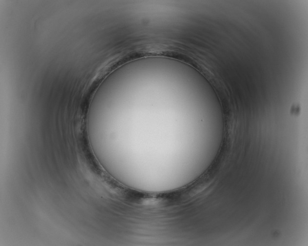 X0000111380216200907100945