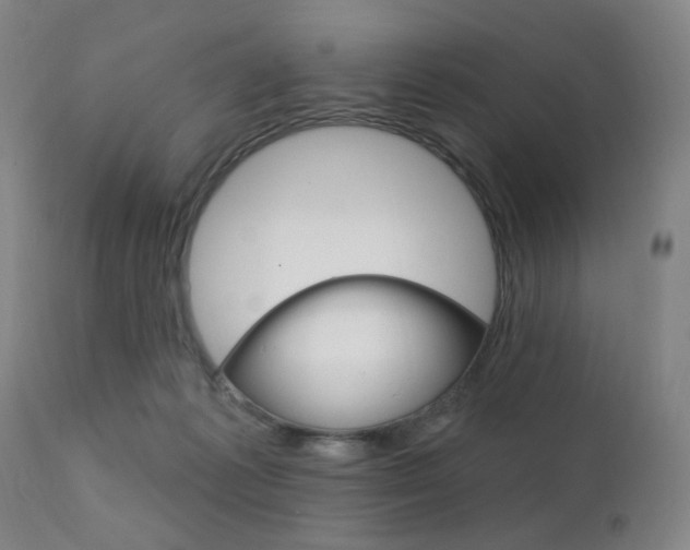 X0000111380221200907100945