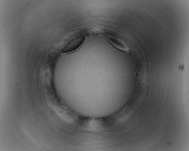 X0000111380223200907100945