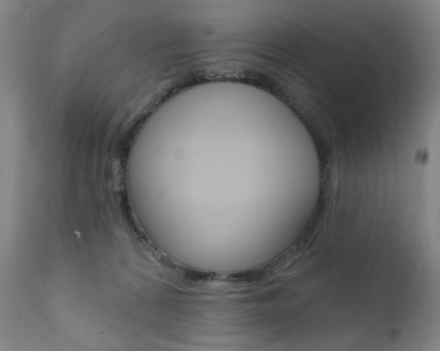 X0000111380224200907100945