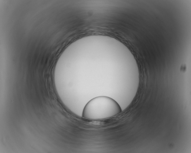 X0000111380225200907100945