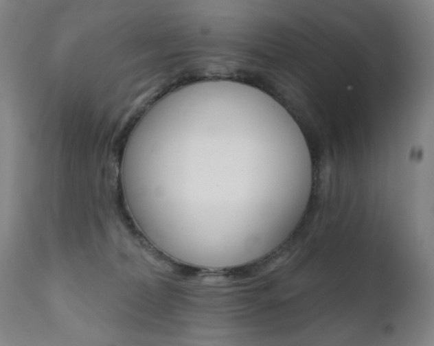 X0000111380228200907100945
