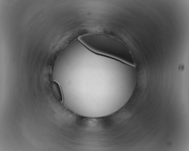 X0000111380229200907100945