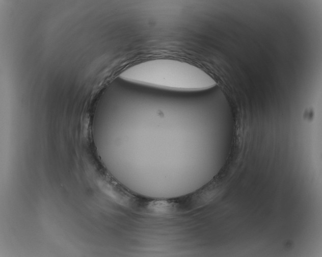X0000111380231200907100945