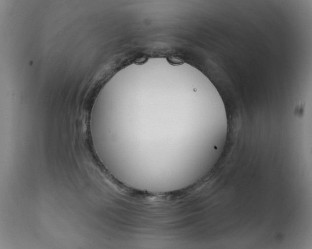 X0000111380232200907100945