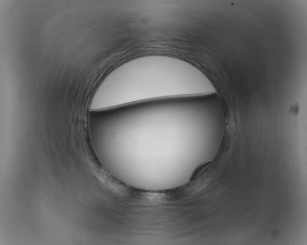 X0000111380233200907100945