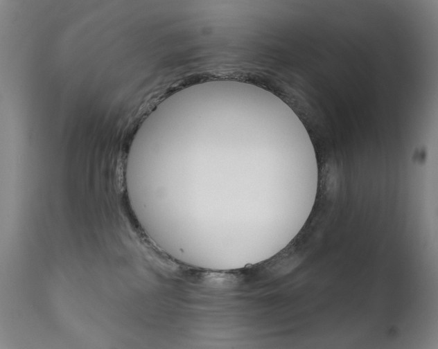 X0000111380234200907100945