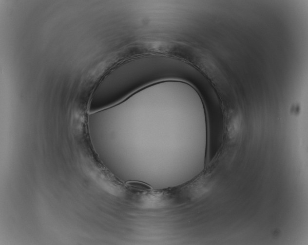 X0000111380235200907100945