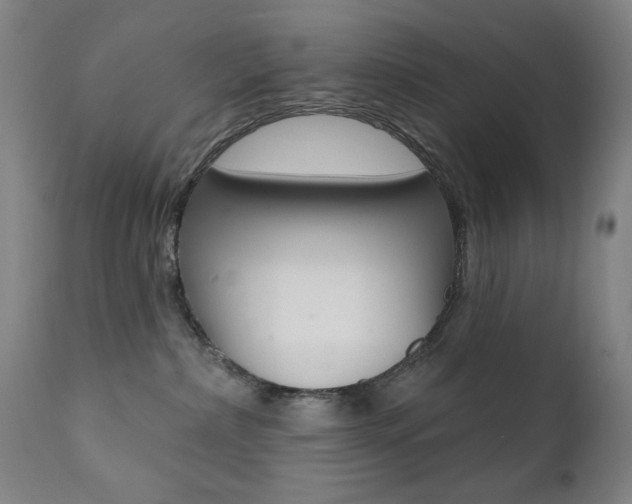 X0000111380236200907100944