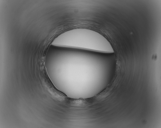 X0000111380237200907100944