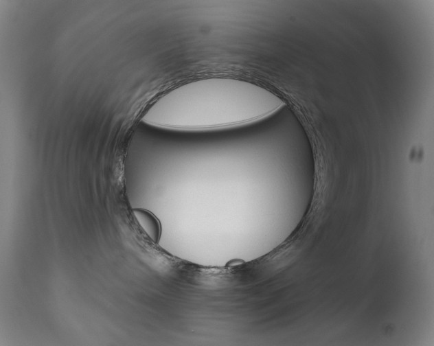 X0000111380240200907100944