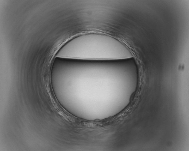 X0000111380241200907100944