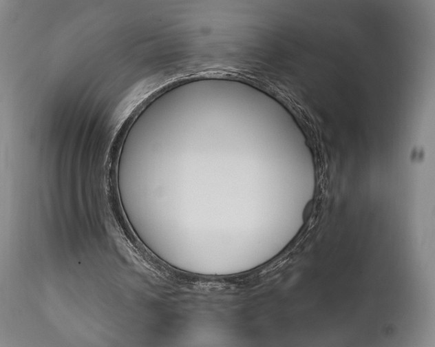 X0000111380242200907100944