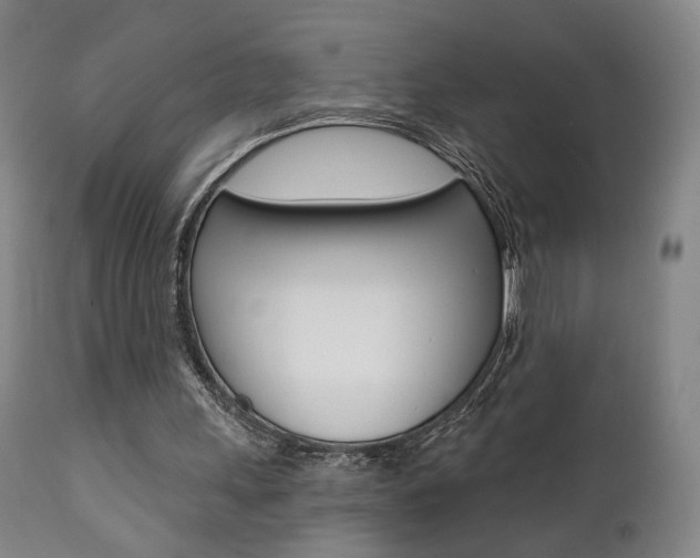X0000111380243200907100944