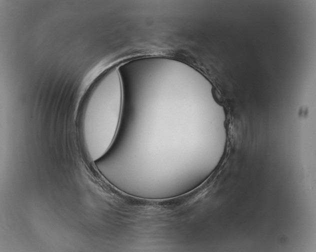 X0000111380246200907100944