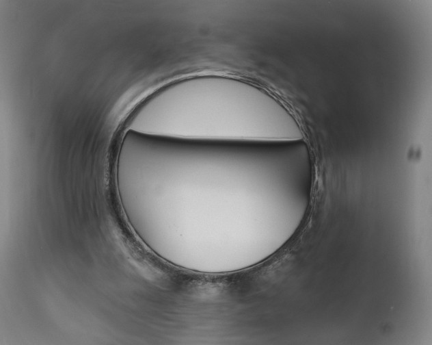 X0000111380247200907100944