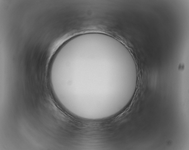 X0000111380248200907100944