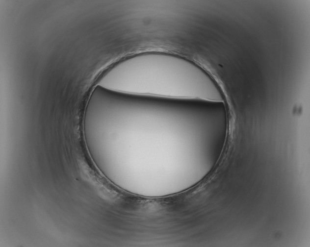X0000111380249200907100944