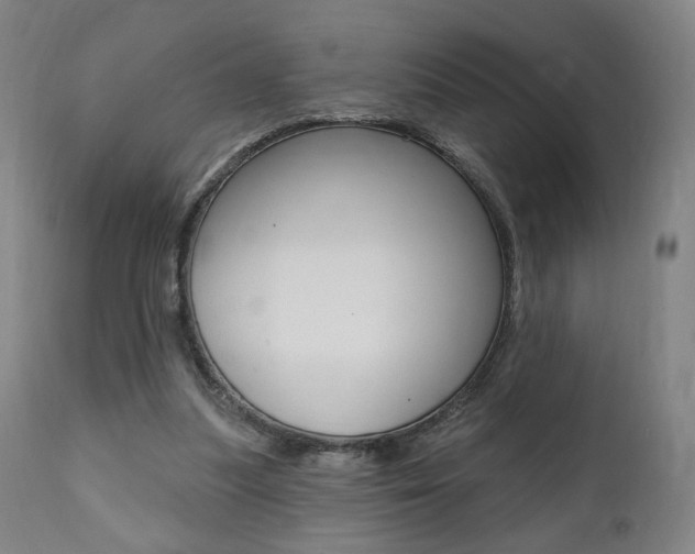 X0000111380251200907100944
