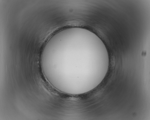 X0000111380255200907100944