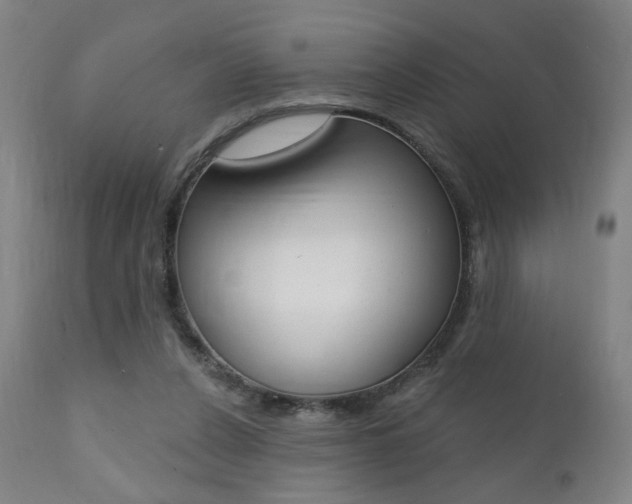 X0000111380256200907100944