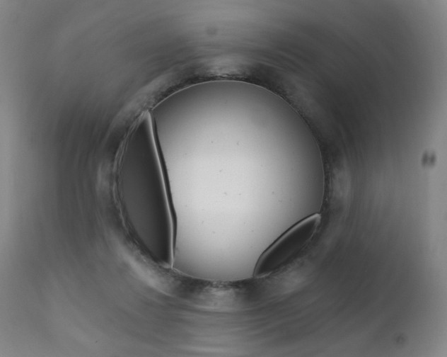 X0000111380260200907100944