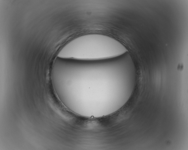 X0000111380262200907100944