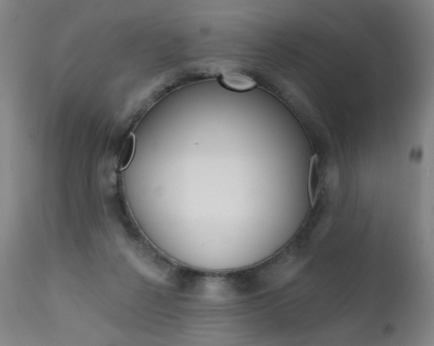 X0000111380264200907100944