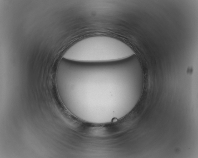 X0000111380266200907100944