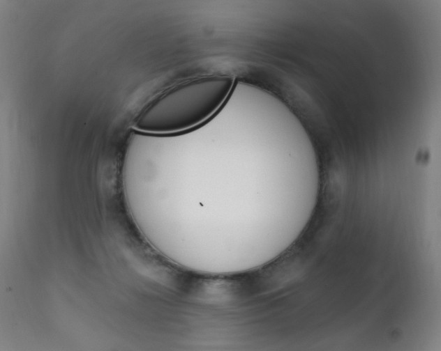 X0000111380268200907100944