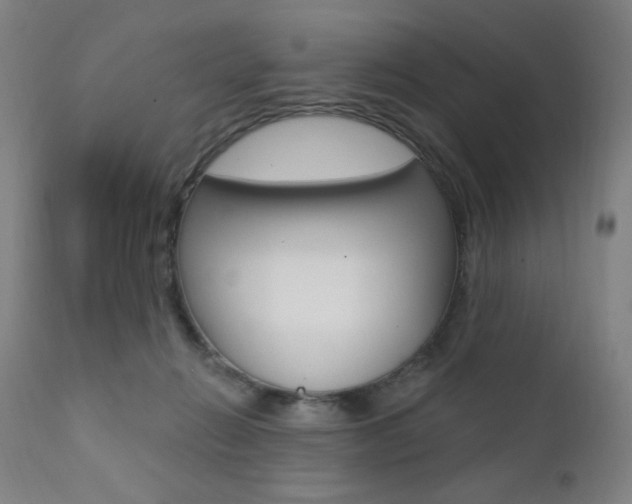 X0000111380270200907100944