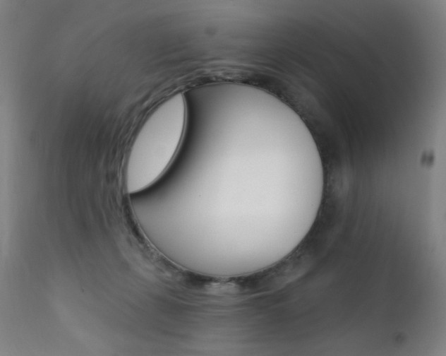 X0000111380271200907100944