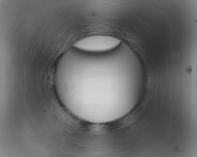 X0000111380273200907100944