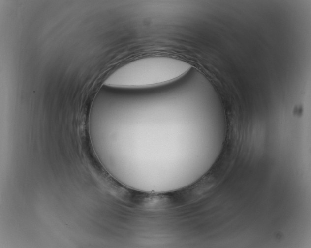 X0000111380274200907100944