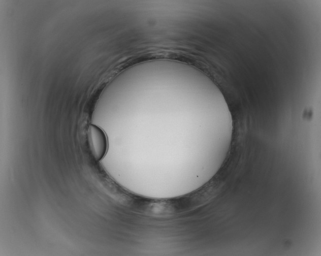 X0000111380275200907100944