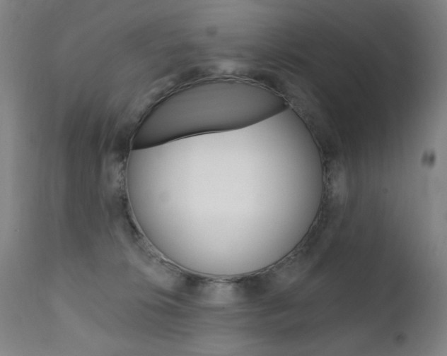 X0000111380276200907100944