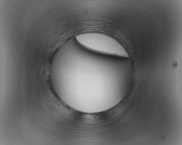 X0000111380277200907100944