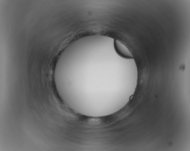 X0000111380279200907100944