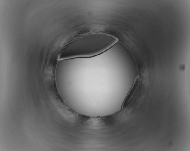 X0000111380280200907100944