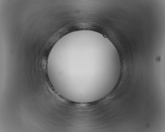 X0000111380281200907100944
