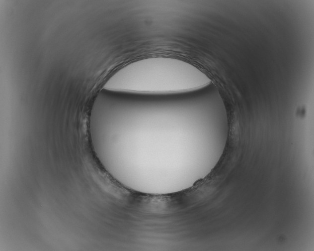 X0000111380282200907100944