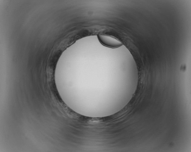 X0000111380283200907100944