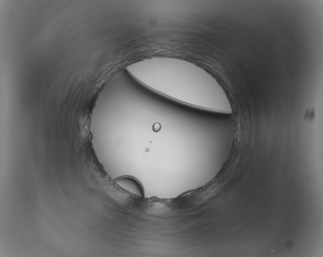 X0000111380285200907100944