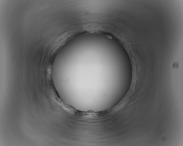 X0000111380288200907100944